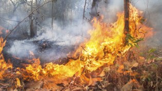 Alarmante incendio forestal en San Bernardino