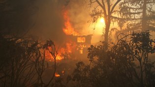 Se extienen incendios forestales a 4 estados