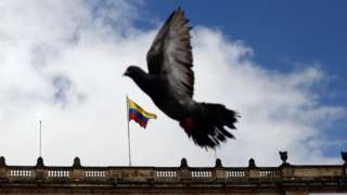 Paloma frente al Congreso de Colombia