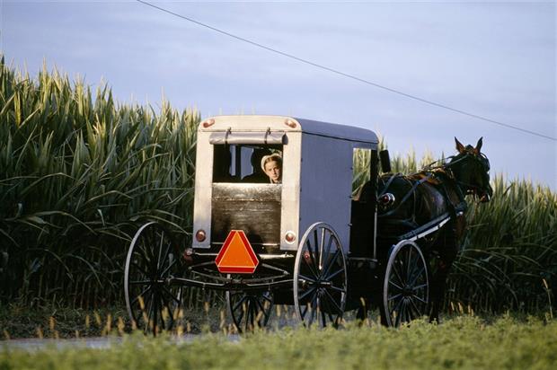 "Amish en un carruaje tirado a caballo" (Lancaster, Pensilvania) (1998)