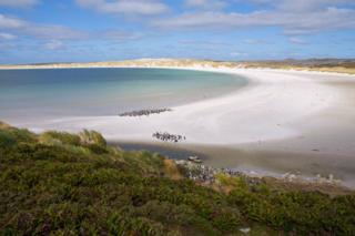 Yorke Bay, Malvinas/Falklands.