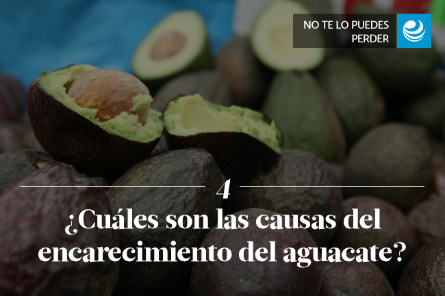 ¿Cuáles son las causas del encarecimiento del aguacate?