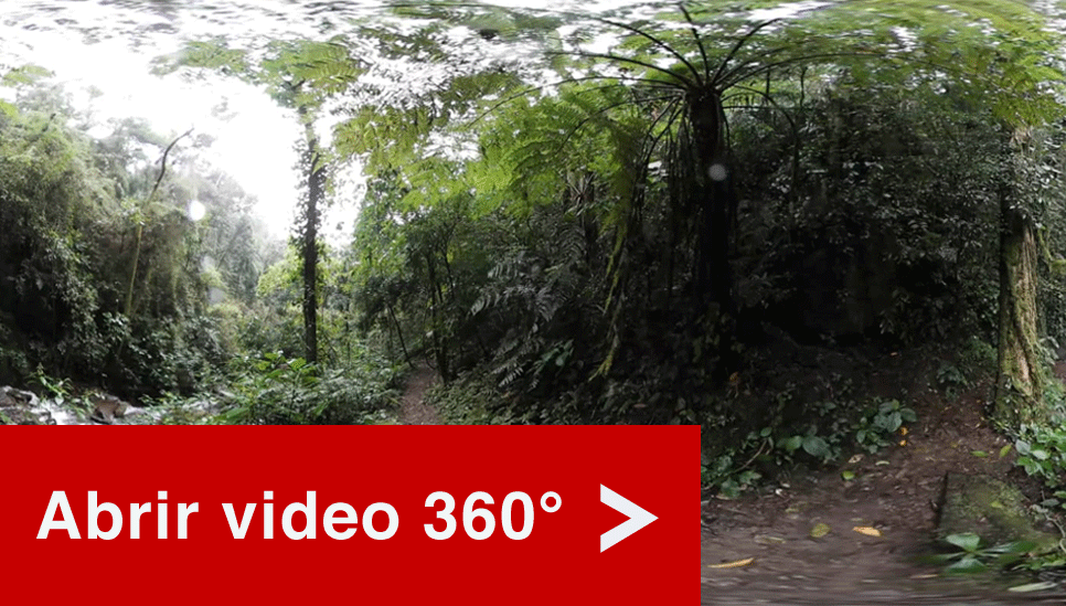 Haz clic aquí para ver el video en 360º