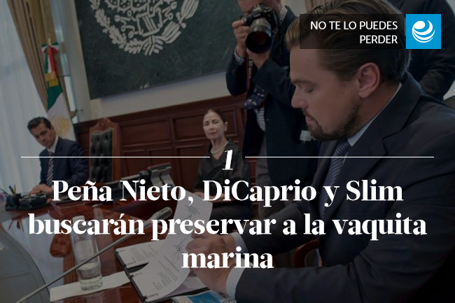 Peña Nieto, DiCaprio y Slim buscarán preservar a la vaquita marina 