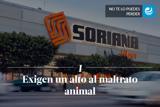 Exigen un alto al maltrato animal