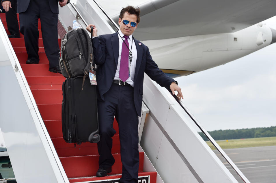 Toni Scaramucci