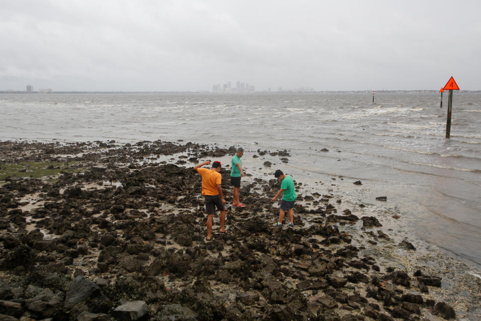 Irma Tampa Bay