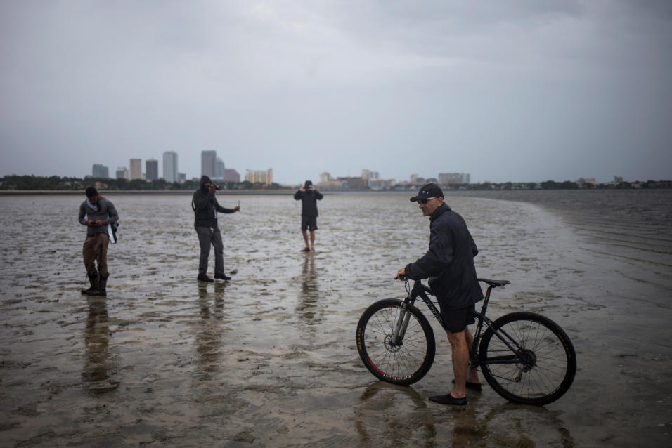 Irma Tampa Bay