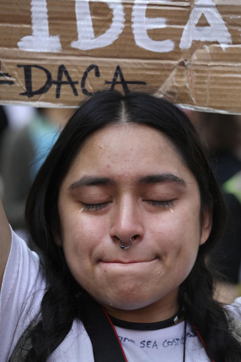 Daca Reacciones