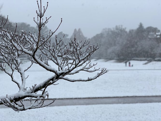 A winter storm dropped more than an inch of snow on the William & Mary campus Sunday. (WYDaily/Courtesy Erin Zagursky)