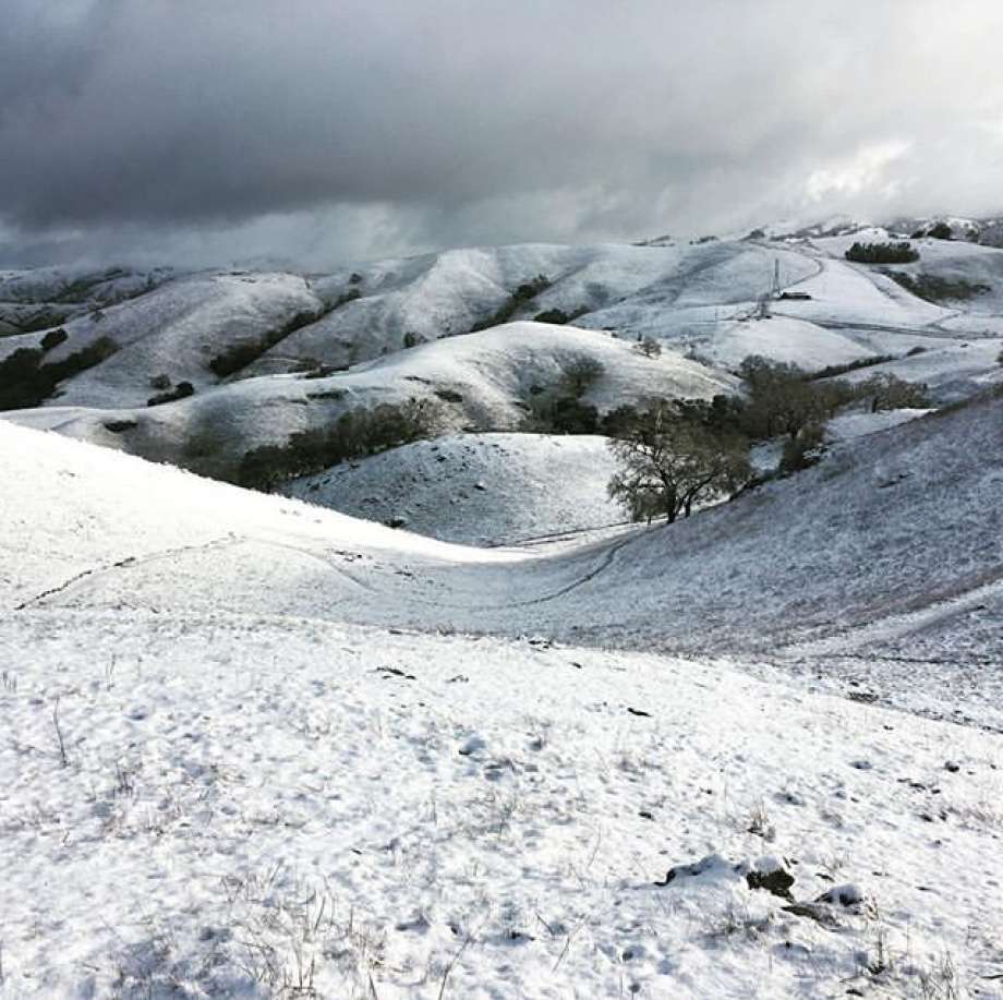 @lee.panich found a winter wonderland in the Sierra Vista Open Space Preserve. Snow fell across the Bay Area on Feb. 5, 2019. Photo: Instagram / Lee.panich